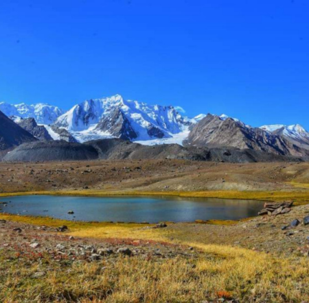 Untitled design 2026 02 27T141433.883