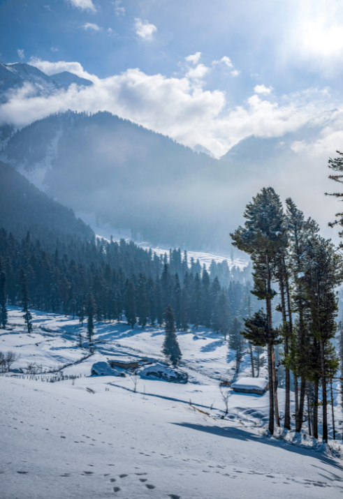 Untitled design 2026 02 27T145112.957