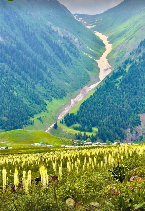 Untitled design 2026 02 27T155422.760