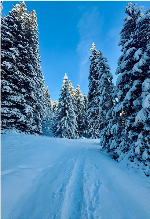 Untitled design 2026 02 27T164245.588