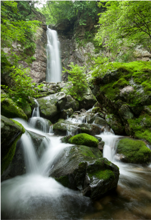 Untitled design 2026 02 27T165230.266